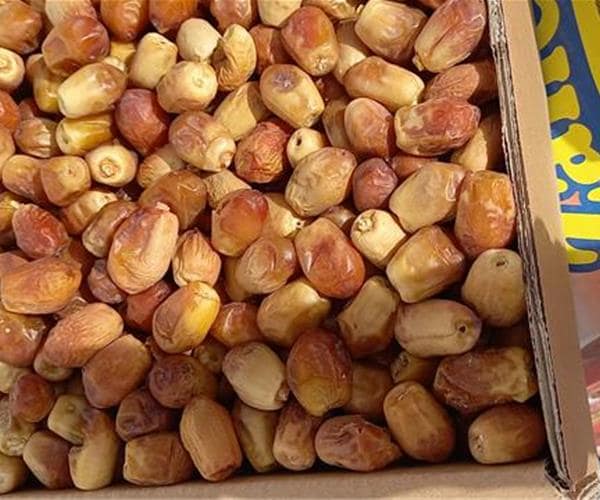 خرما زاهدی مشکین خوش طعم با بافتی منسجم