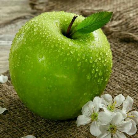 سیب لبنانی ترش آبدار مناسب تهیه انواع سالاد و دسر