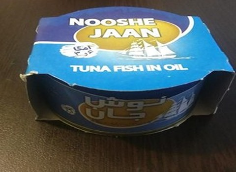 قیمت خرید تن ماهی نوش جان + فروش ویژه 4
