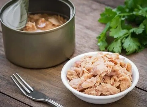 خرید کنسرو تن ماهی عمده + قیمت فروش استثنایی 3
