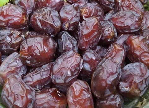 خرید خرما خاصویی مشکین + قیمت فروش استثنایی 4