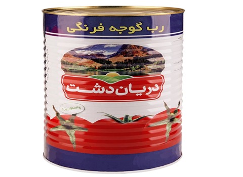خرید رب گوجه فرنگی دریان دشت + قیمت فروش استثنایی 2
