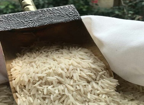 قیمت خرید برنج دانه بلند هاشمی عمده به صرفه و ارزان 4