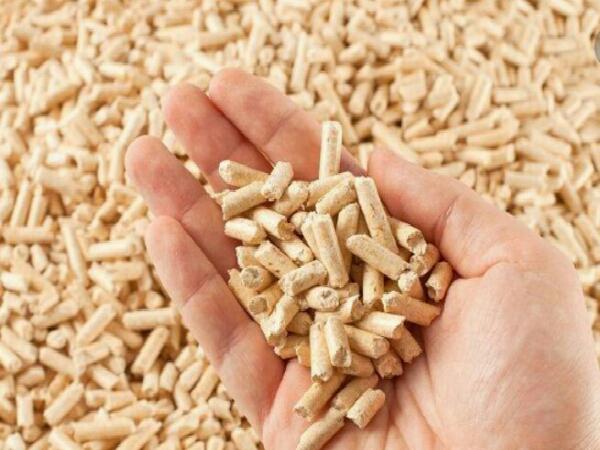 فروش کنسانتره دام و طیور + قیمت خرید به صرفه 5