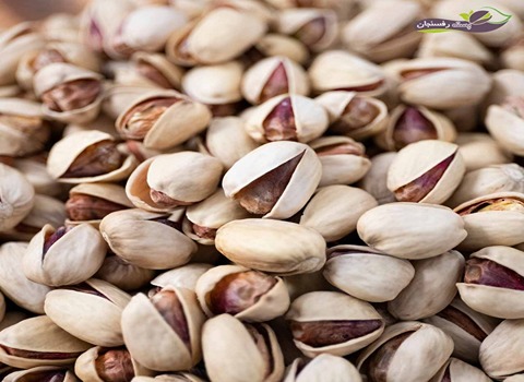 خرید و قیمت پسته کله قوچی درجه یک + فروش صادراتی 4