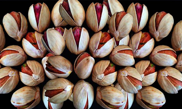 خرید و قیمت پسته کله قوچی درجه یک + فروش صادراتی 5