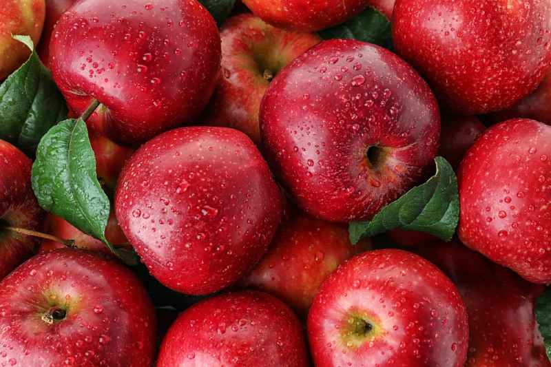 فروش سیب قرمز مشگین شهر + قیمت خرید به صرفه 3