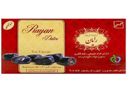خرید خرما صادراتی رایان ساغر + قیمت فروش استثنایی 4