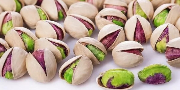 قیمت خرید پسته صادراتی اکبری + فروش ویژه 4
