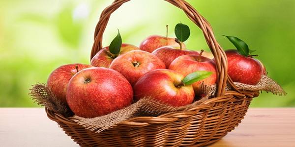 قیمت سیب قرمز استخوانی با کیفیت ارزان + خرید عمده 4