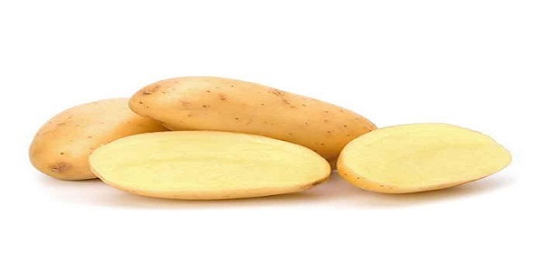 قیمت خرید سیب زمینی شیرین اصفهان با فروش عمده 6