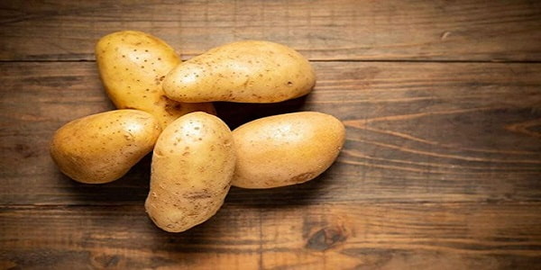 قیمت خرید سیب زمینی شیرین اصفهان با فروش عمده 3