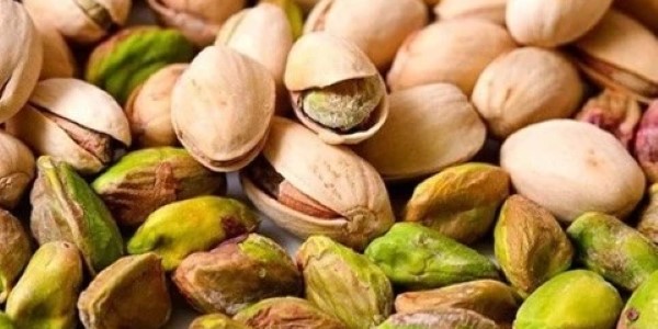 قیمت پسته کله قوچی درشت با کیفیت ارزان + خرید عمده 3