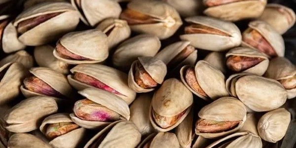 خرید و فروش پسته کله قوچی خندان با شرایط فوق العاده 5