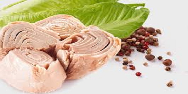 قیمت خرید تن ماهی مکنزی + فروش ویژه 2