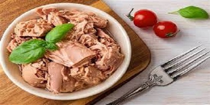 قیمت خرید تن ماهی مکنزی + فروش ویژه 4