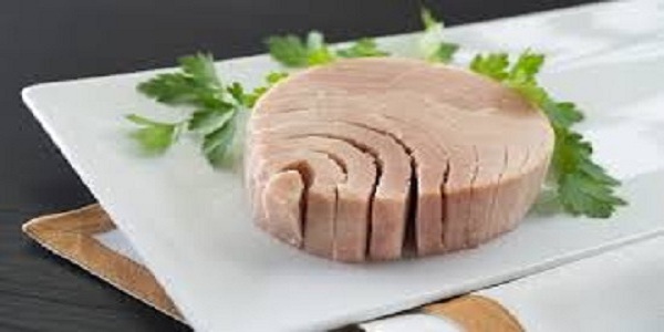 قیمت خرید تن ماهی مکنزی + فروش ویژه 5