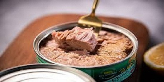 قیمت خرید تن ماهی مکنزی + فروش ویژه 6