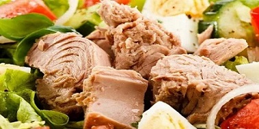 قیمت خرید تن ماهی طبیعت + فروش ویژه 2