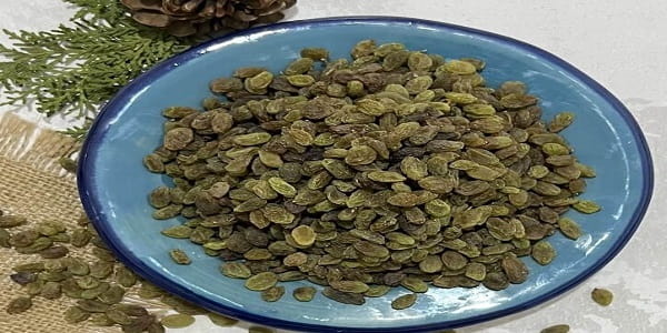 خرید کشمش سبز سایه خشک + قیمت فروش استثنایی 5