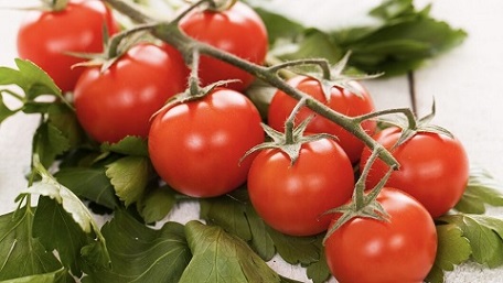 قیمت خرید گوجه فرنگی گیلاسی گلخانه ای + فروش ویژه 6