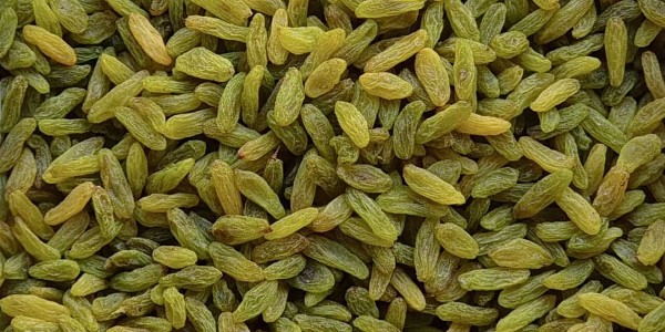 خرید و فروش کشمش سبز قلمی درجه ۳ با شرایط فوق العاده 6