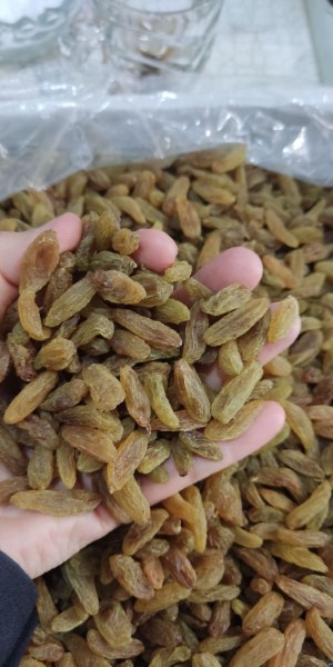 خرید و قیمت کشمش سبز ممتاز + فروش صادراتی 2