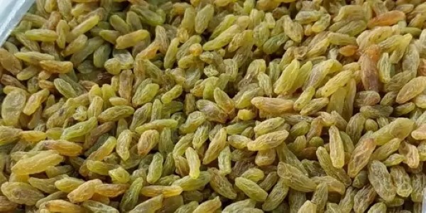 خرید و قیمت کشمش سبز ممتاز + فروش صادراتی 5