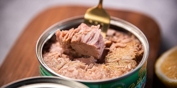 خرید و فروش تن ماهی مکنزی دودی با شرایط فوق العاده 2