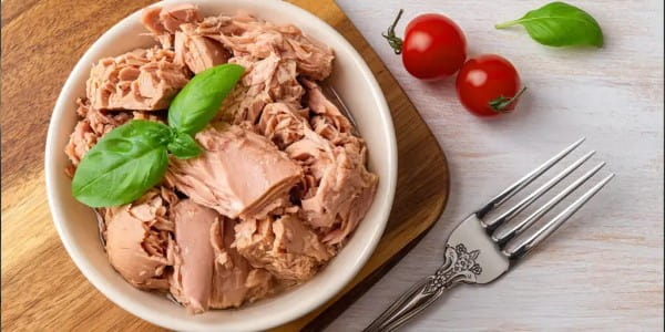 خرید و فروش تن ماهی مکنزی دودی با شرایط فوق العاده 5