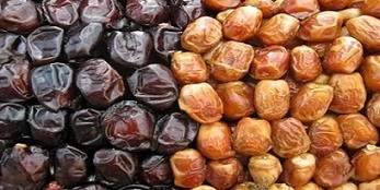 خرید و قیمت خرما مضافتی بم + فروش عمده 2