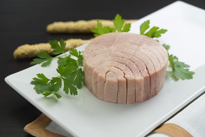 قیمت خرید تن ماهی مکنزی + فروش ویژه 5
