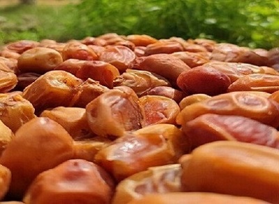 خرید خرما زاهدی + قیمت فروش استثنایی 4