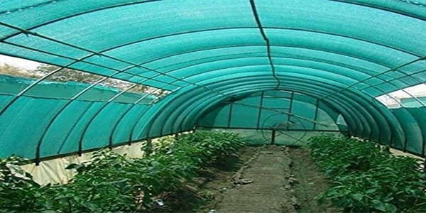 خرید توری سایبان گلخانه + قیمت فروش استثنایی 5