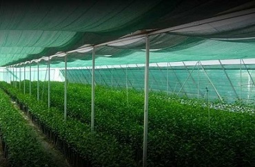 قیمت خرید توری سایبان گلخانه + فروش ویژه 5