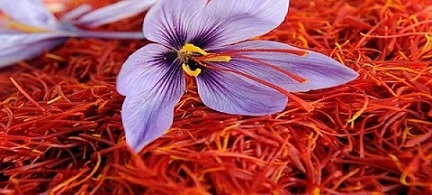 خرید جدیدترین انواع زعفران نگین پرسی 6