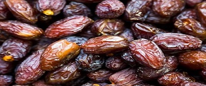 خرید خرمای کبکاب شیره دار + قیمت فروش استثنایی 5