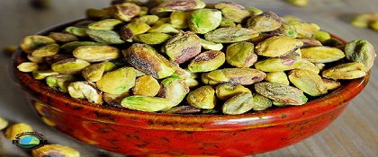 خرید مغز پسته کال سبز + قیمت فروش استثنایی 6