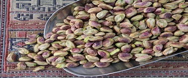 خرید مغز پسته گندمی + قیمت فروش استثنایی 6