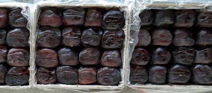 قیمت خرید خرما مضافتی جیرفت + فروش ویژه 5