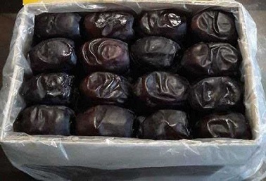 خرید خرما مضافتی بم با قیمت فوق العاده 2