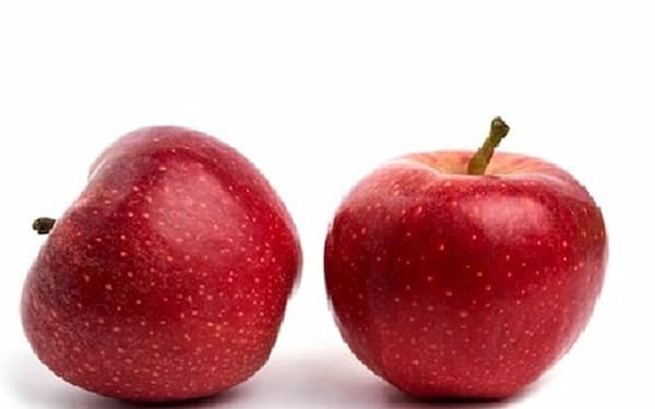 قیمت خرید سیب قرمز استخوانی با فروش عمده 4