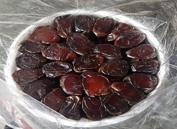 قیمت خرید خرما کبکاب صادراتی + فروش ویژه 3