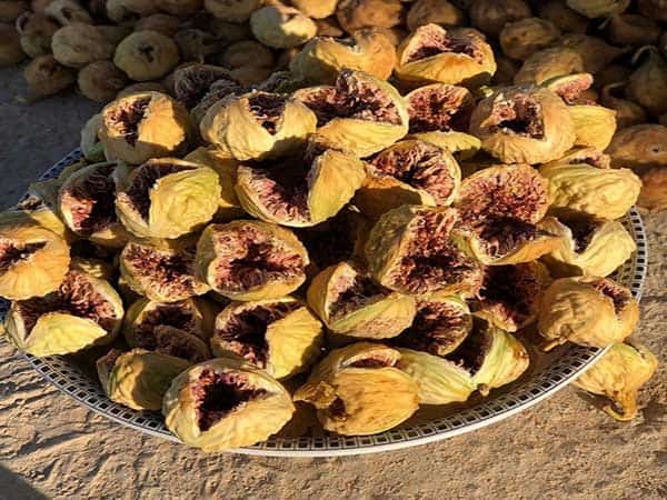 راهنمای خرید انجیر خشک با کیفیت