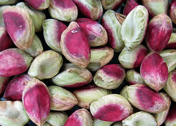 خرید مغز پسته بادامی + قیمت فروش استثنایی 5