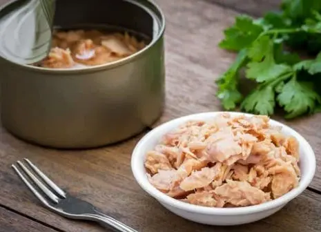 قیمت خرید تن ماهی ۲۰۰ گرمی عمده به صرفه و ارزان 2