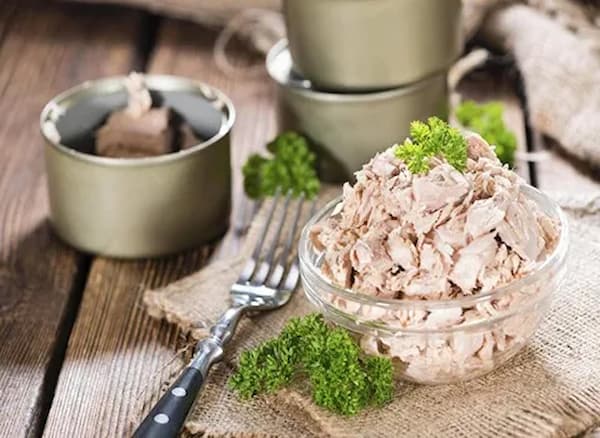 راهنمای خرید تن ماهی هوور جنوب + قیمت عالی 3