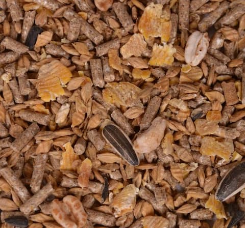 قیمت کنسانتره آجیلی اسب + خرید باور نکردنی 4