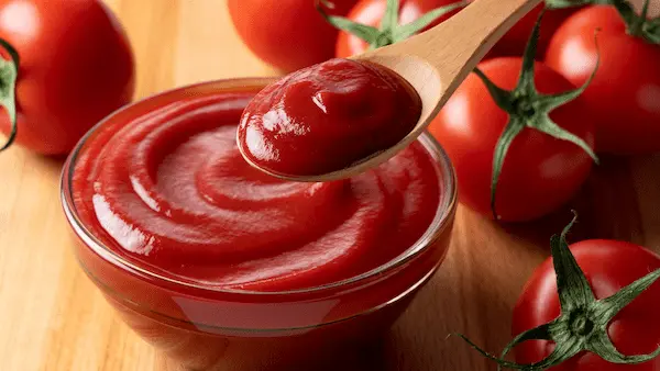 قیمت رب گوجه خوشاب + خرید باور نکردنی 4