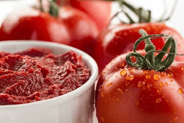 قیمت رب گوجه شیلانه + خرید باور نکردنی 4